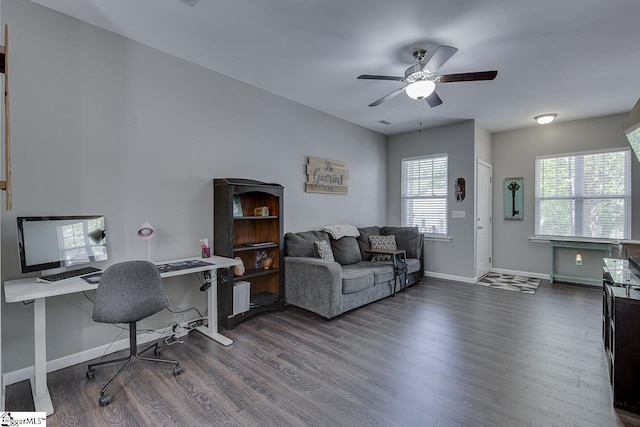 office with plenty of natural light, baseboards, ceiling fan, and dark wood-type flooring