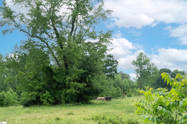 view of nature with a wooded view