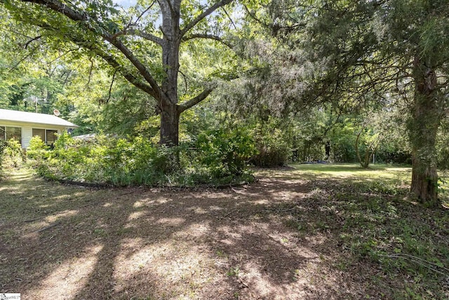 view of yard with a view of trees