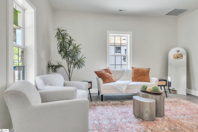 sitting room with visible vents and a wealth of natural light
