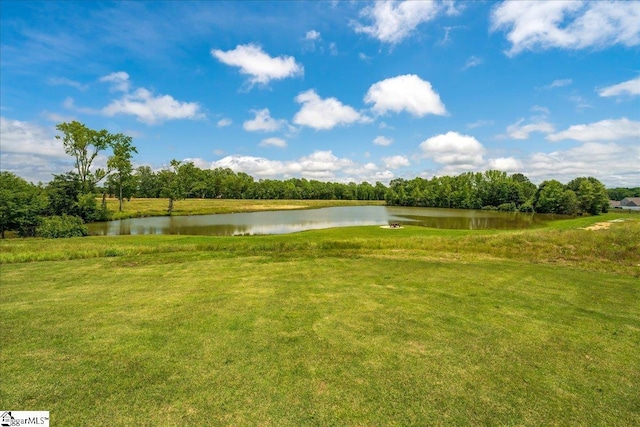 216 Bonifay Dr, Fountain Inn, SC 29644 - view of grassy yard with a water view