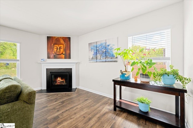 living area with baseboards, wood finished floors, and a lit fireplace