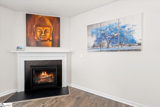 interior details with baseboards, a fireplace with flush hearth, and wood finished floors
