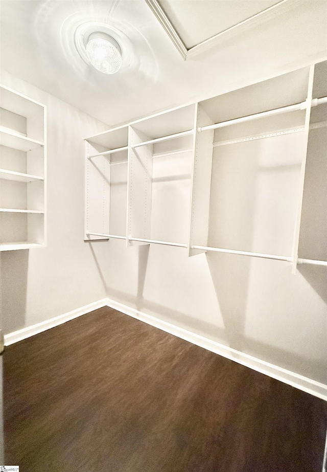 4 Creekbend Ct, Simpsonville, SC 29681 - walk in closet featuring wood finished floors