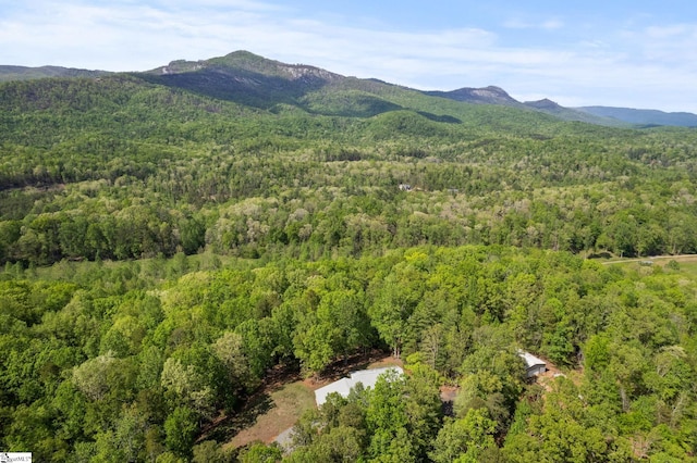 mountain view featuring a wooded view