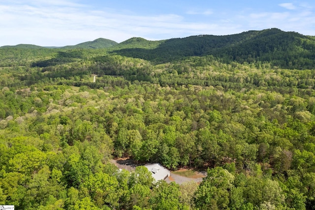 view of mountain feature with a wooded view