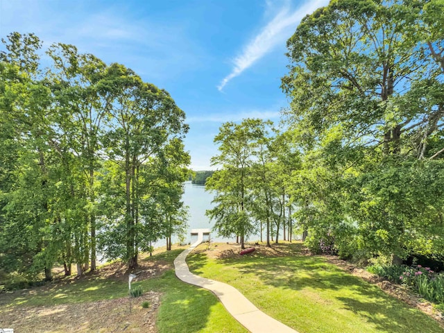 view of community featuring a lawn