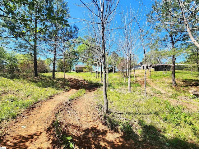509 Allgood Bridge Rd, Pickens, SC 29671 - view of yard