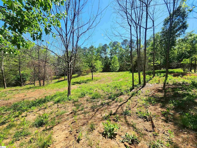 509 Allgood Bridge Rd, Pickens, SC 29671 - view of yard