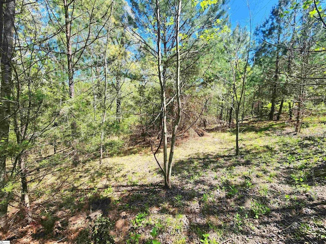 509 Allgood Bridge Rd, Pickens, SC 29671 - view of nature with a forest view