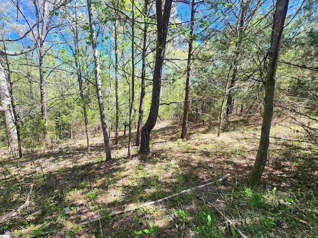 509 Allgood Bridge Rd, Pickens, SC 29671 - view of nature with a view of trees
