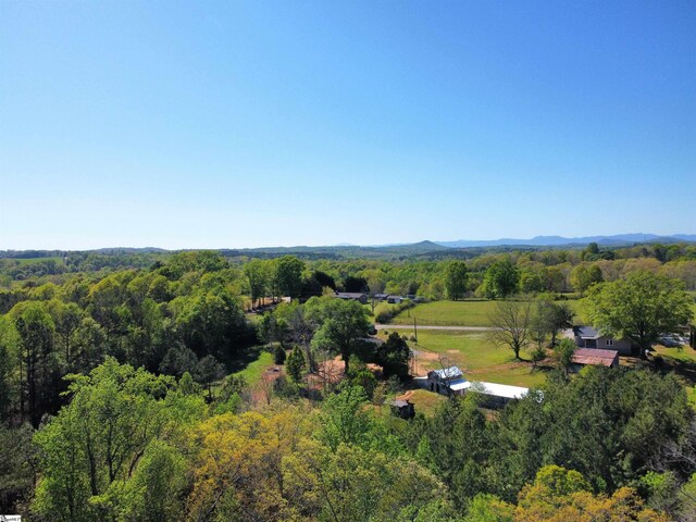 509 Allgood Bridge Rd, Pickens, SC 29671 - aerial view featuring a view of trees