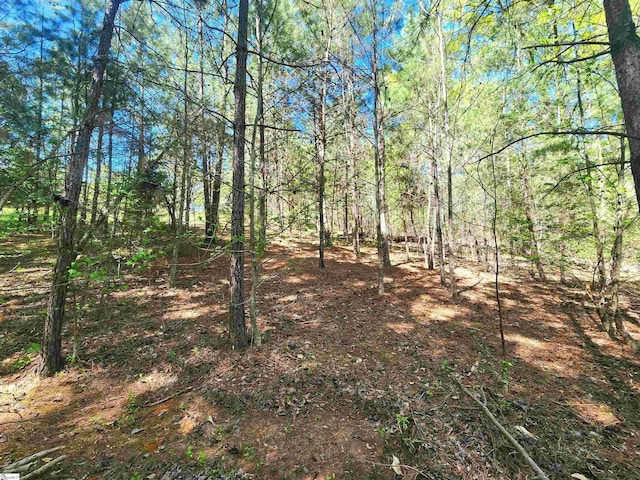 00 Allgood Bridge Rd, Pickens, SC 29671