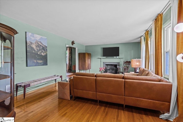 living area with a fireplace and wood finished floors