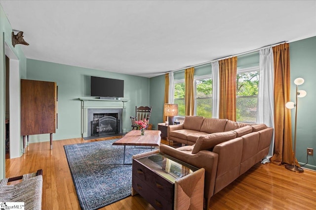 living room featuring a fireplace with flush hearth and wood finished floors