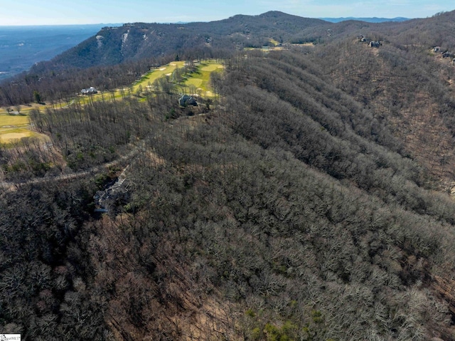 May Apple Way Lot 232, Landrum, SC 29356 - property view of mountains