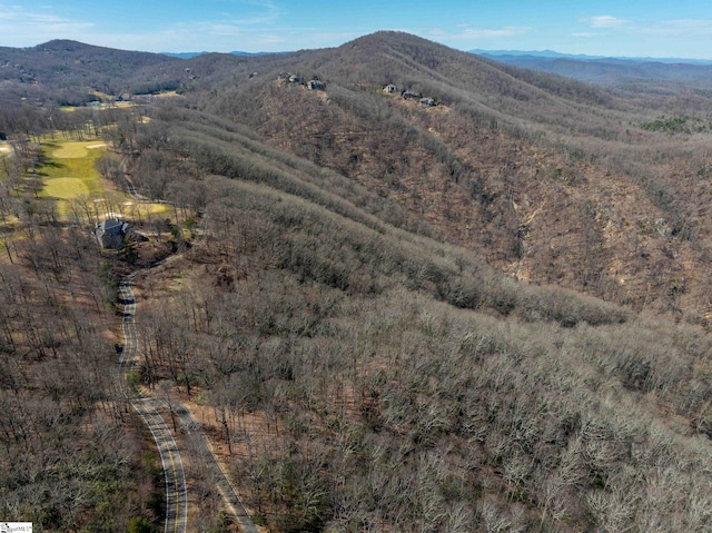 May Apple Way Lot 232, Landrum, SC 29356 - mountain view