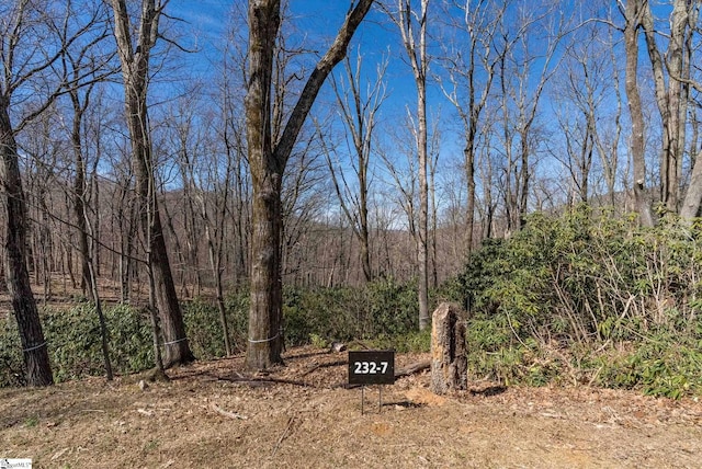 May Apple Way Lot 232, Landrum, SC 29356 - view of nature featuring a forest view