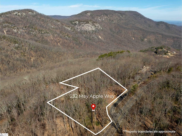 May Apple Way Lot 232, Landrum, SC 29356 - property view of mountains