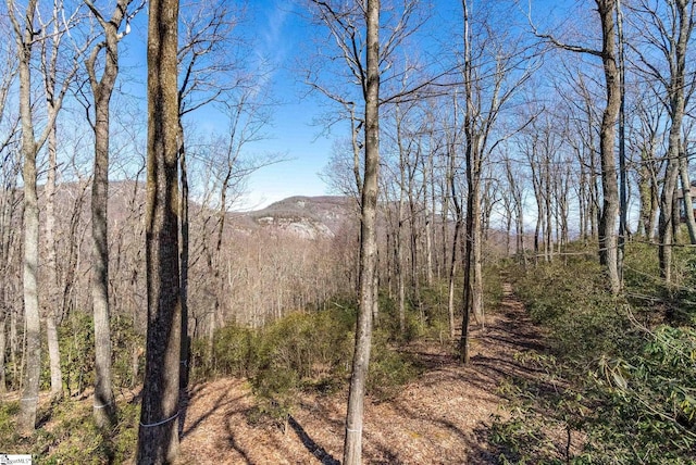 May Apple Way Lot 232, Landrum, SC 29356 - view of mountain feature with a wooded view