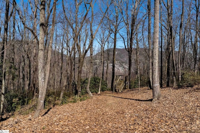 May Apple Way Lot 232, Landrum, SC 29356 - view of local wilderness with a mountain view and a wooded view