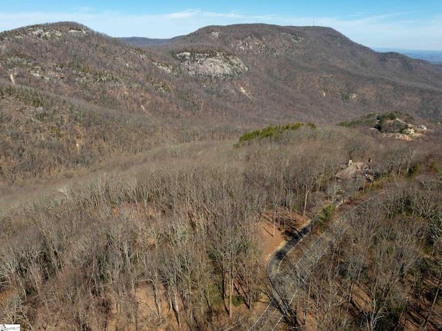 May Apple Way Lot 232, Landrum, SC 29356 - property view of mountains