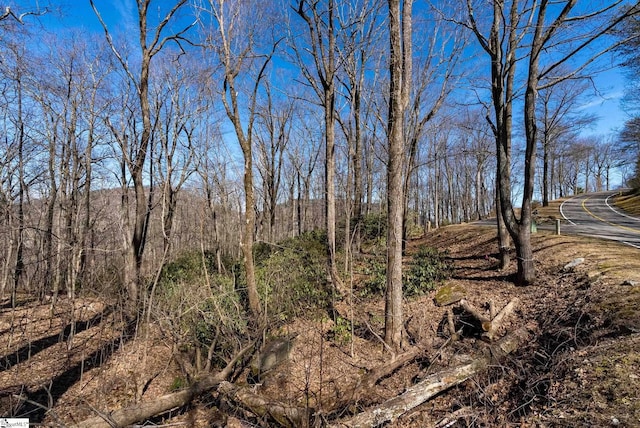 May Apple Way Lot 232, Landrum, SC 29356 - view of landscape