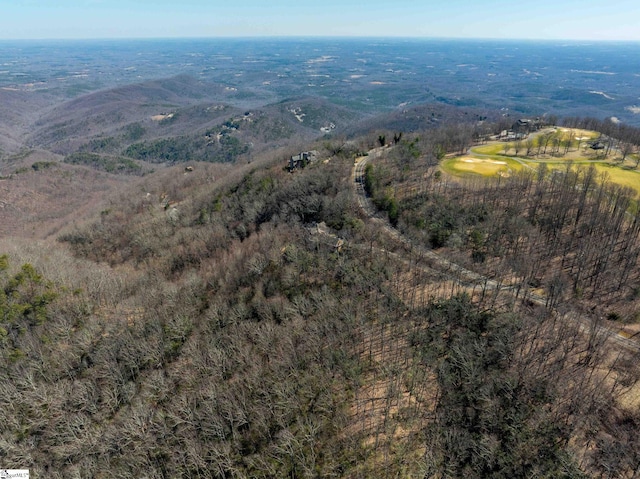 May Apple Way Lot 232, Landrum, SC 29356 - aerial view