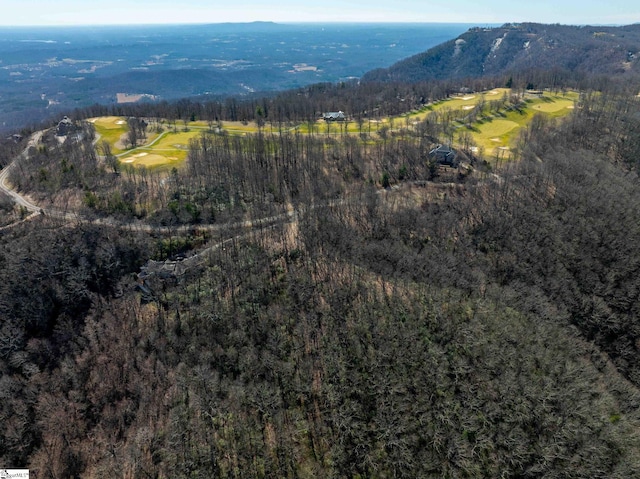 May Apple Way Lot 232, Landrum, SC 29356 - birds eye view of property featuring a view of trees and a mountain view