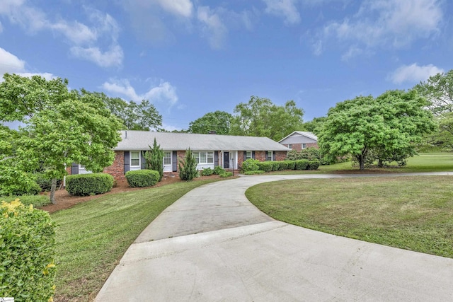 ranch-style home featuring curved driveway, a front lawn, and brick siding