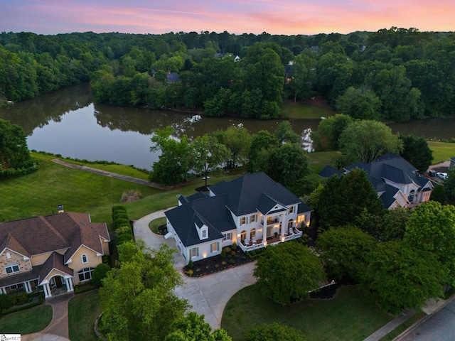 312 Stonebrook Farm Way, Greenville, SC 29615 - aerial view at dusk with a water view and a view of trees