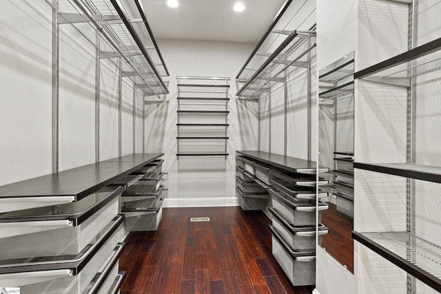 312 Stonebrook Farm Way, Greenville, SC 29615 - walk in closet with wood-type flooring