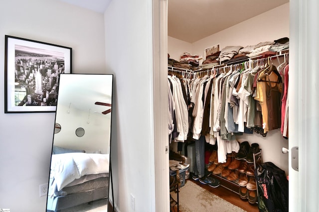 view of spacious closet
