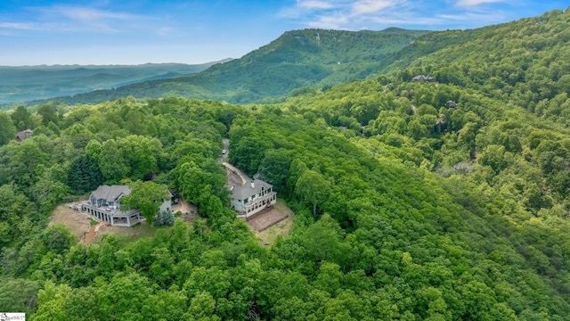 aerial view with a view of trees and a mountain view