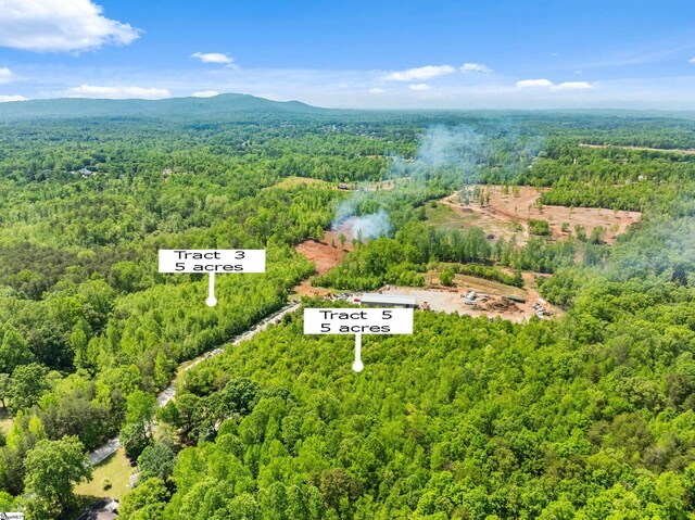 173 Old Rutherford Rd, Taylors, SC 29687