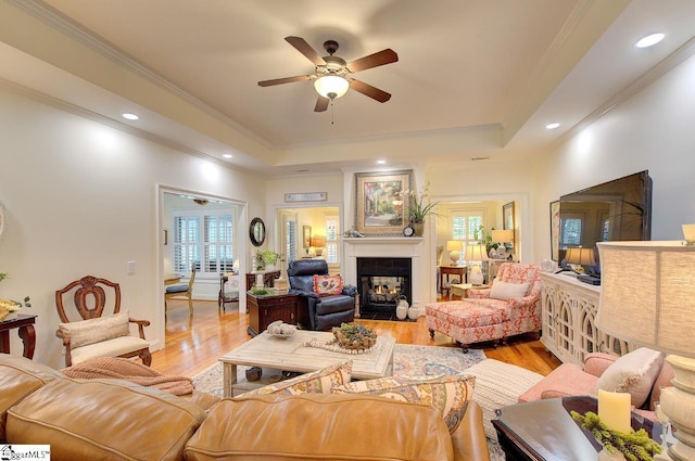 132 Hartsfield Dr, Easley, SC 29642 - living area featuring a ceiling fan, a tray ceiling, a wealth of natural light, and light wood finished floors