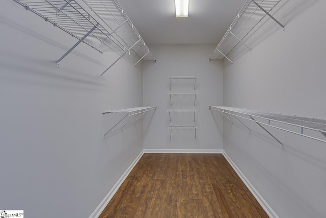 101 Merganser Ct, Liberty, SC 29657 - spacious closet featuring wood finished floors