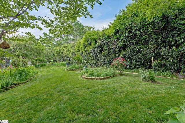 5 Bellfort Ct, Taylors, SC 29687 - view of yard