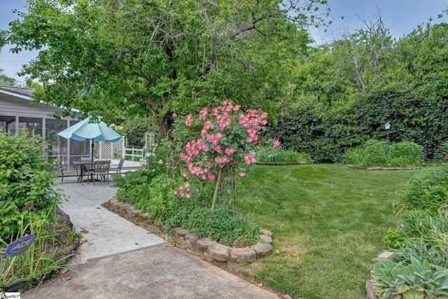 5 Bellfort Ct, Taylors, SC 29687 - view of yard featuring a patio