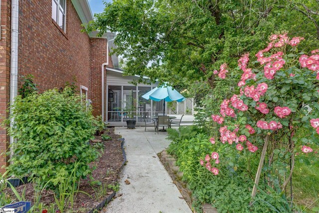 5 Bellfort Ct, Taylors, SC 29687 - view of yard featuring a patio and a sunroom