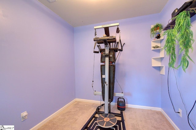 exercise area with baseboards and carpet