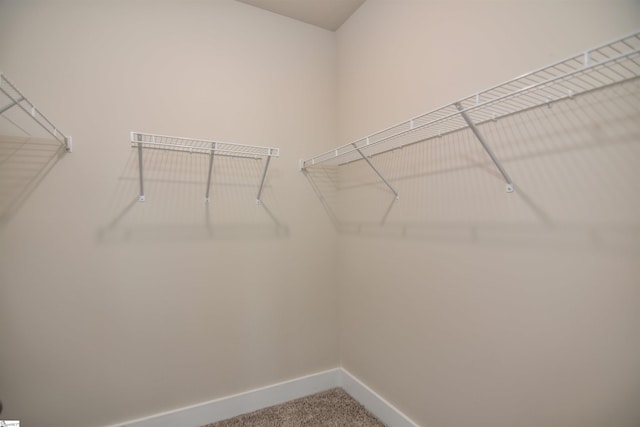 spacious closet with carpet flooring