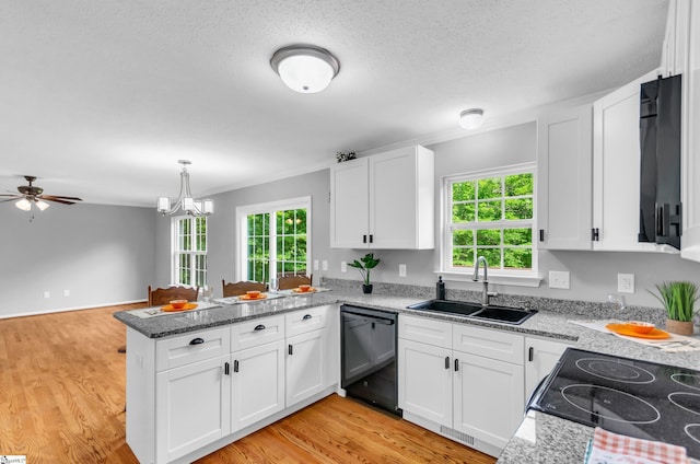 kitchen with plenty of natural light, a sink, a peninsula, and dishwasher