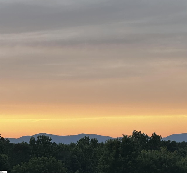 106 Hickory Valley Way, Taylors, SC 29687 - view of mountain feature with a view of trees