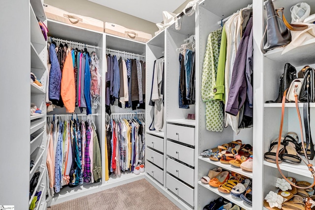 spacious closet with carpet