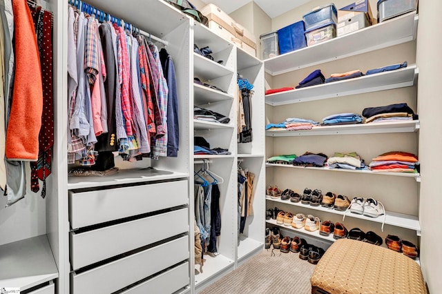 view of walk in closet