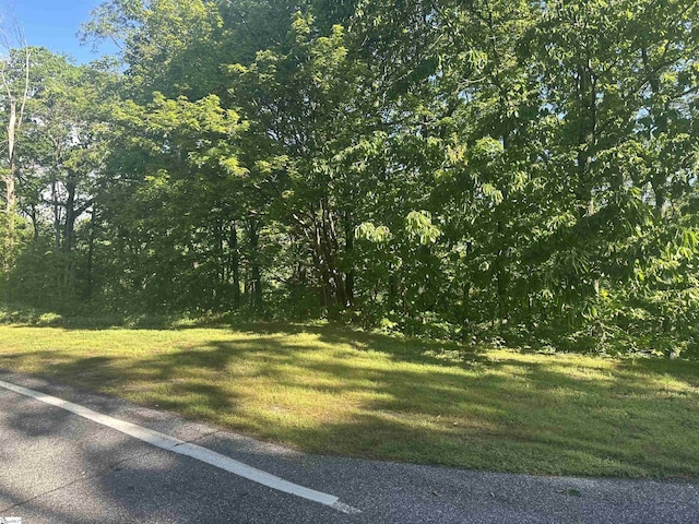 53 Harrier Ln, Landrum SC, 29356 land for sale
