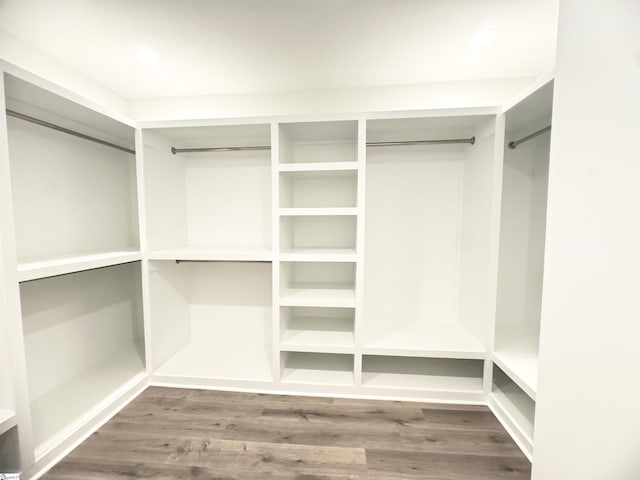 walk in closet with wood finished floors