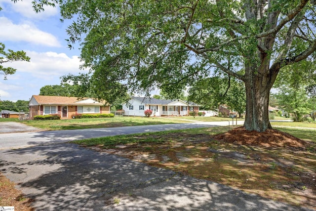 ranch-style home featuring a front yard and aphalt driveway