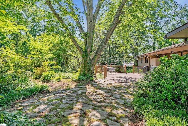 view of yard with a deck